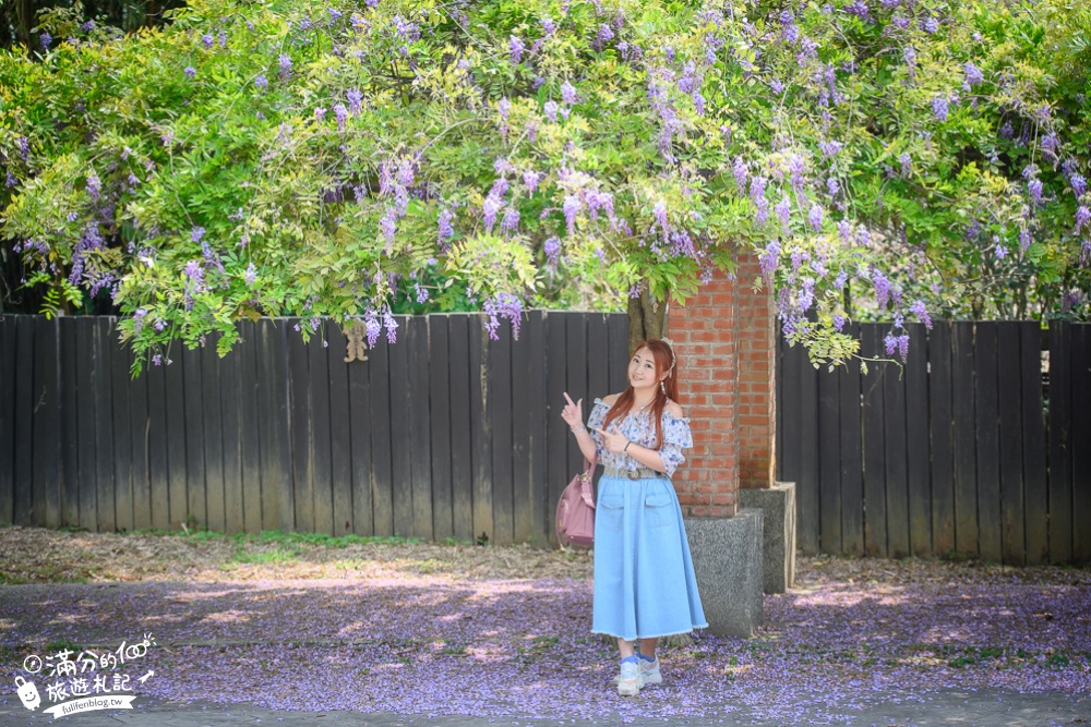 【2024杜石地一號紫錐花莊園】紫藤花季活動&門票.下午茶.簡餐, 四季都美,散步在異國風的小花園!