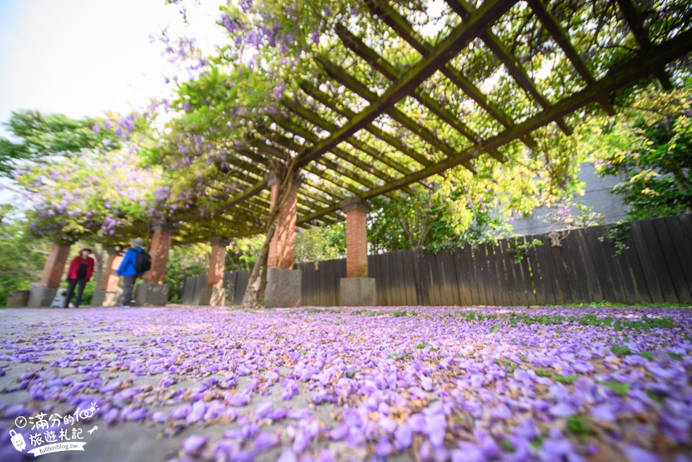 【2024杜石地一號紫錐花莊園】紫藤花季活動&門票.下午茶.簡餐, 四季都美,散步在異國風的小花園!