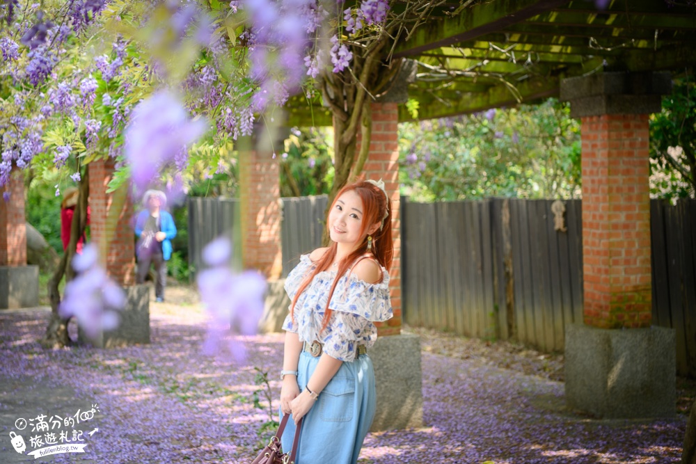 【2024杜石地一號紫錐花莊園】紫藤花季活動&門票.下午茶.簡餐, 四季都美,散步在異國風的小花園!