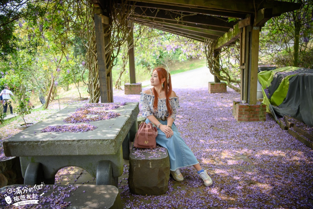 【2024杜石地一號紫錐花莊園】紫藤花季活動&門票.下午茶.簡餐, 四季都美,散步在異國風的小花園!