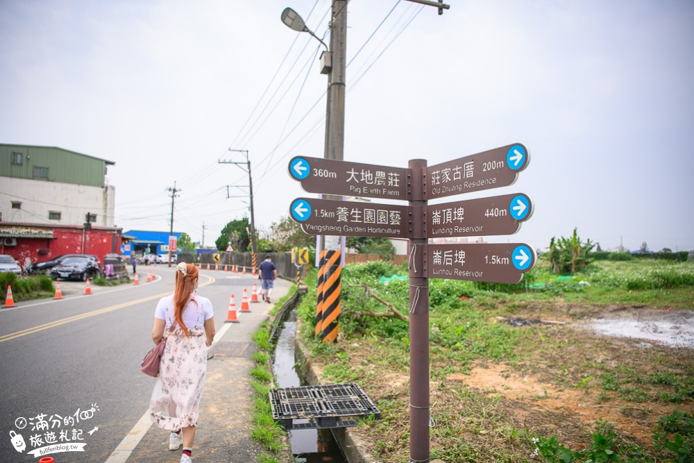 2021桃園彩色海芋季攻略|交通方式.花田上的美人魚.河豚.龍蝦超吸睛|六萬株彩色海芋~最夢幻的海洋花世界!