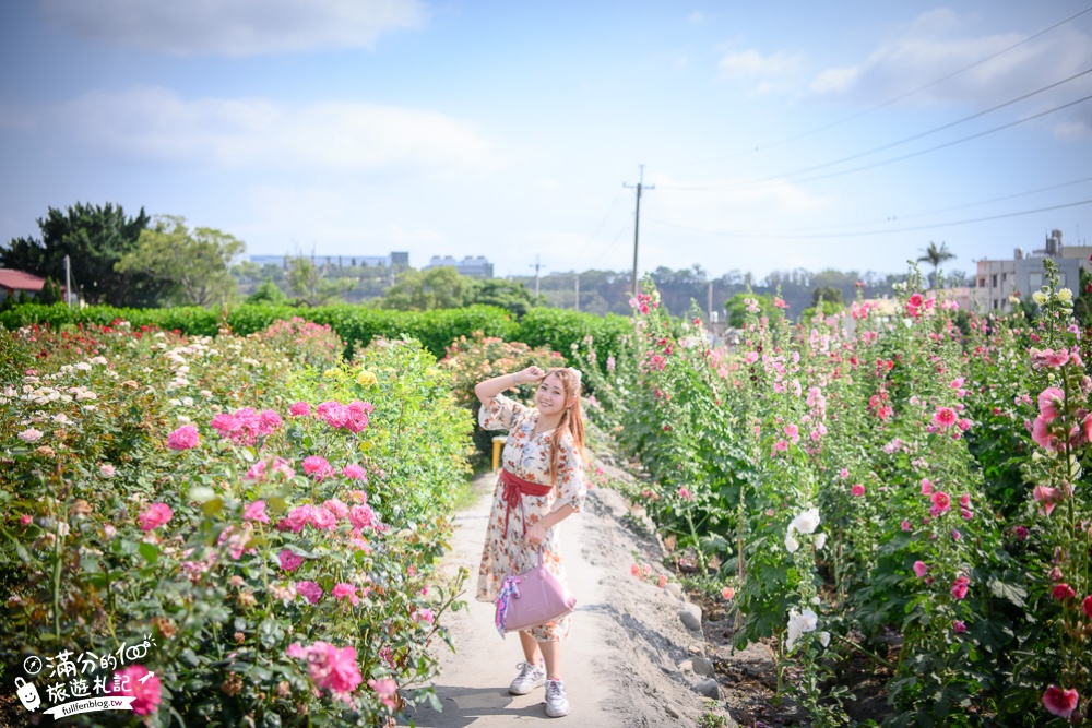 台中景點|中社觀光花市花海|百合花.鬱金香.火焰雞冠花海花海基地～全台最美歐風花園!