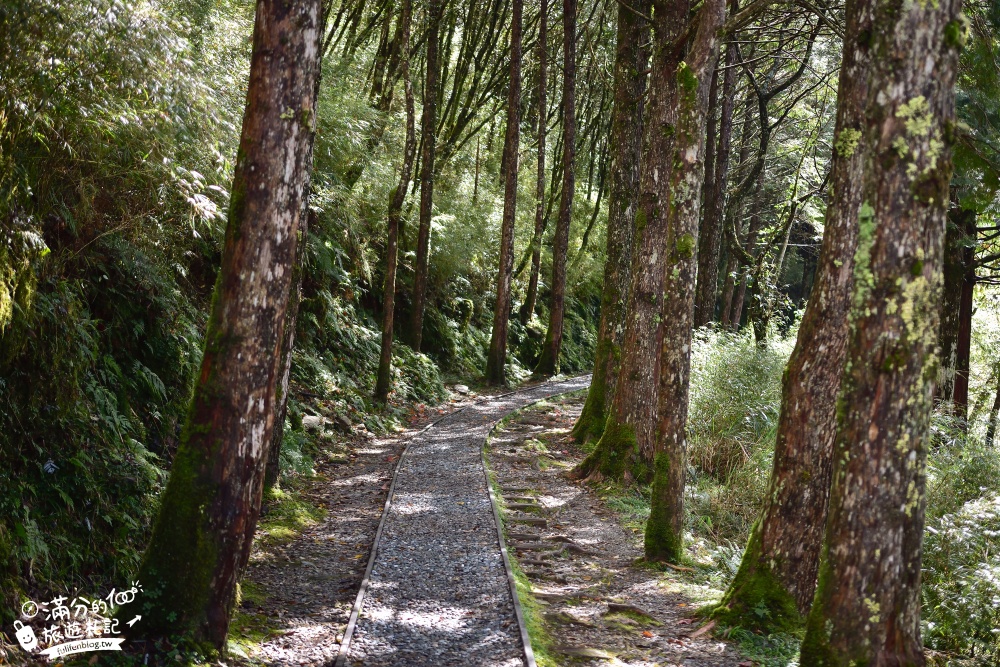 宜蘭景點|見晴懷古步道|舊鐵道森呼吸.望聖陵線.看大霸尖山.走吊橋|感受古道四季~夢幻綠鐵道之旅!