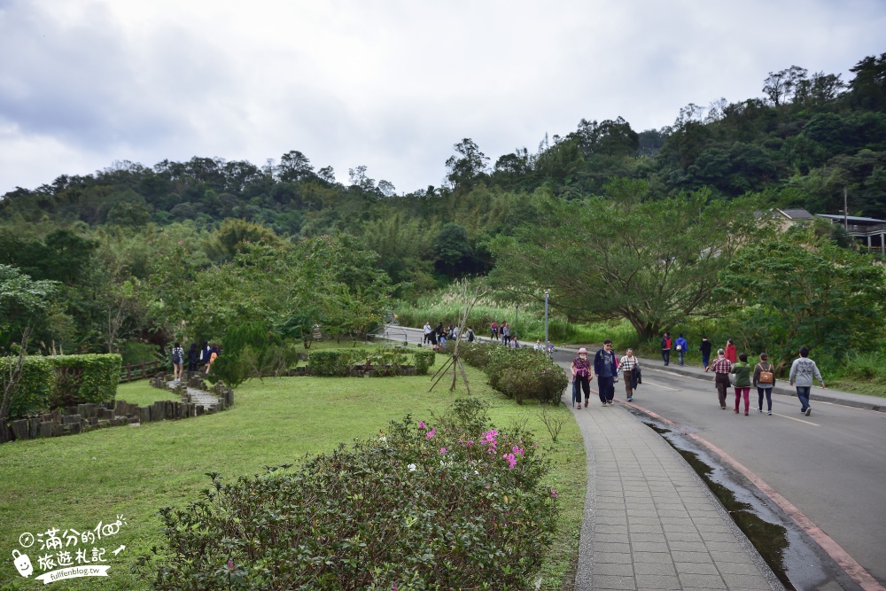 平溪景點|十分瀑布公園(免門票)台版尼加拉大瀑布|超震撼~森林系天然溪谷瀑布!