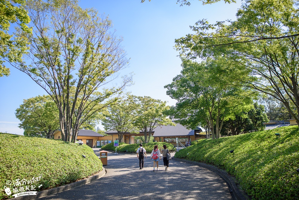 日本三重景點|名花之里|世界級夢幻花園.走海棠花廊.吃安永餅.泡溫泉.拋花許願~璀璨霓虹燈節好震撼!