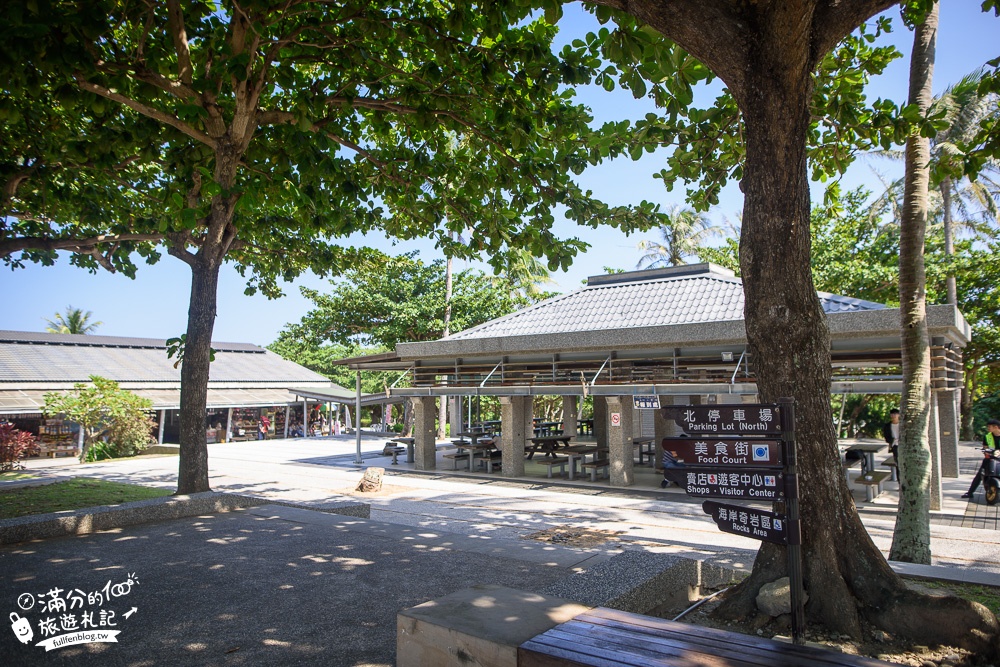 台東景點【小野柳風景區】(免門票)望海景.看奇岩.坐漂流木.逛市集,天然雕刻公園~海上的藝術品!