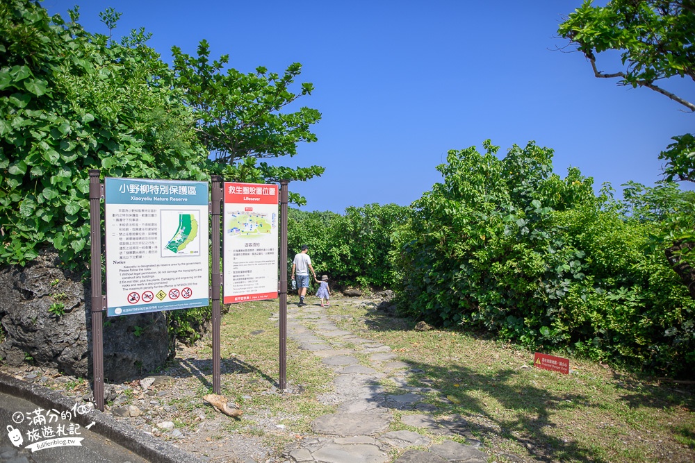 台東景點【小野柳風景區】(免門票)望海景.看奇岩.坐漂流木.逛市集,天然雕刻公園~海上的藝術品!