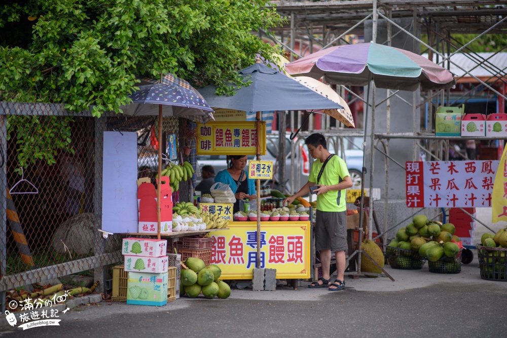 台東景點|富山護魚區|望海.踩水.看珊瑚礁.餵魚.探索潮間帶~台版蘇美島!