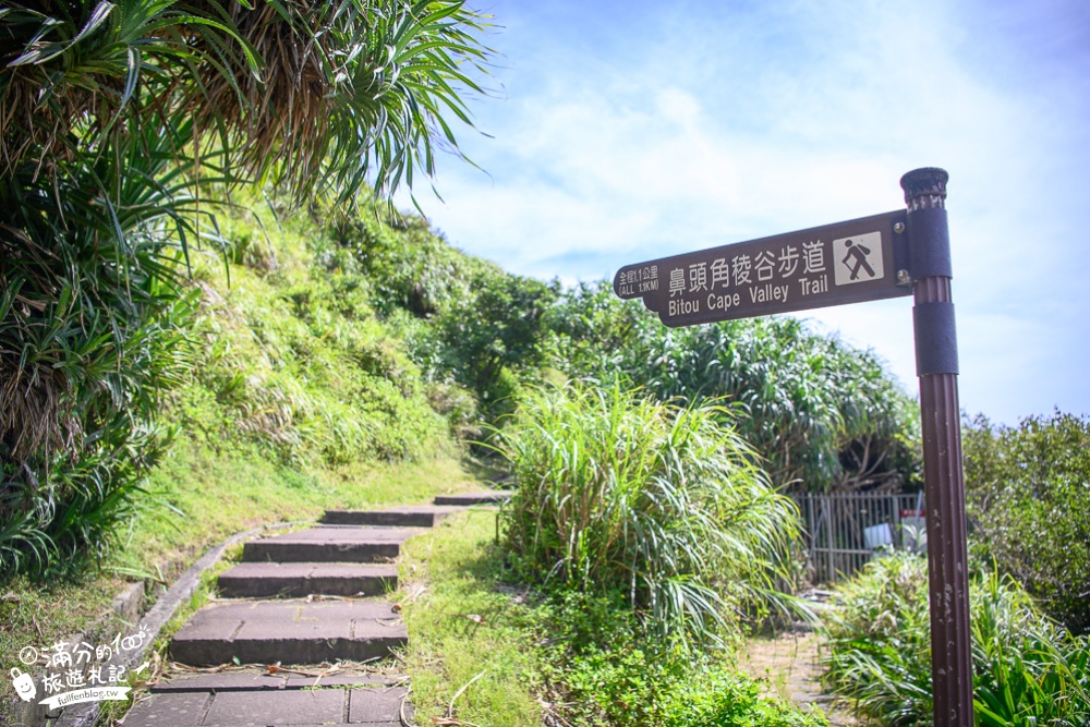 東北角景點【聽濤cafe】迷彩風咖啡館.望山景.吹海風.走彩虹階梯,山海交界的約會秘境!