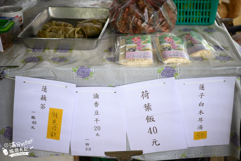 桃園觀音景點【水蓮之鄉休閒蓮園】坐大王蓮.釣小龍蝦.吃蓮子湯.療癒王蓮池,體驗蓮花池水上飄好好玩!