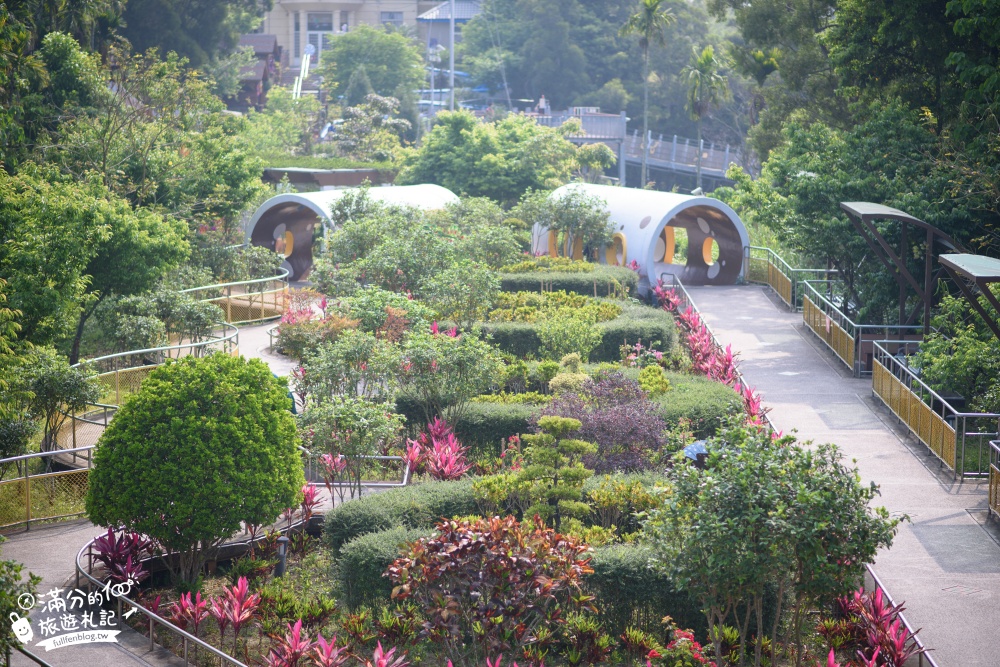 南投景點|猴探井天空之橋|走吊橋.逛花園.望平原.水管屋隧道|50元銅板價~森林峽谷上的微笑曲線!