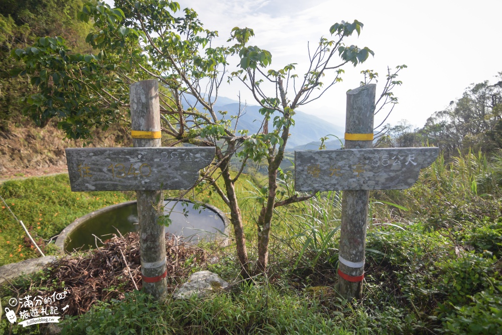 台東太麻里金針山休閒農業園區.看日出.賞花海.忘憂谷.千禧亭|超震撼日昇之鄉~金針花海之巔!