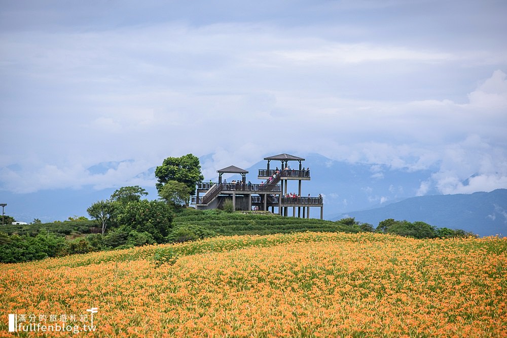 花東金針花二日遊|赤科山.六十石山.太麻里.小瑞士農場|超震撼~四大金針花海一次滿足!