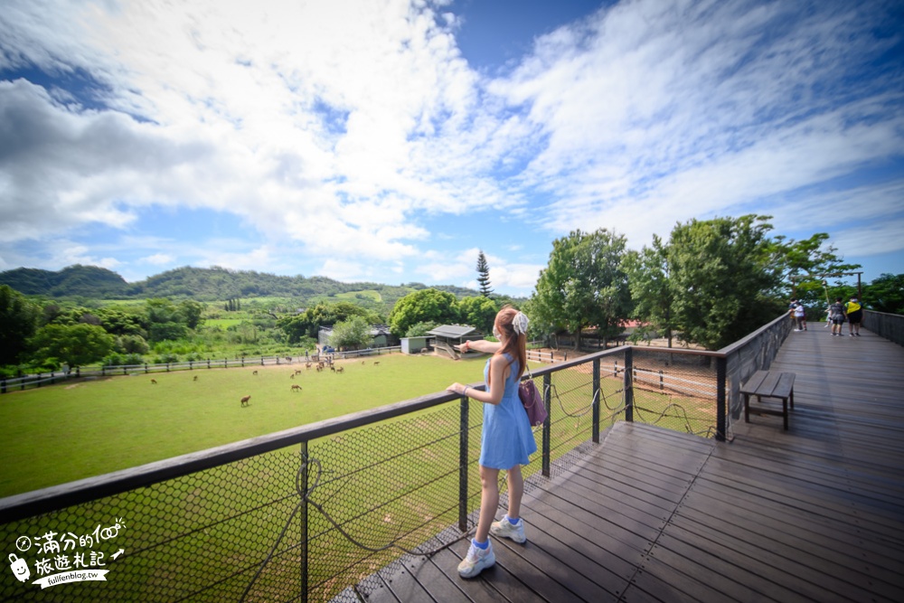 【台東原生應用植物園】最新門票資訊,玩拍玻璃屋,盪鞦韆望山景~與小羊鴕鳥互動玩樂!