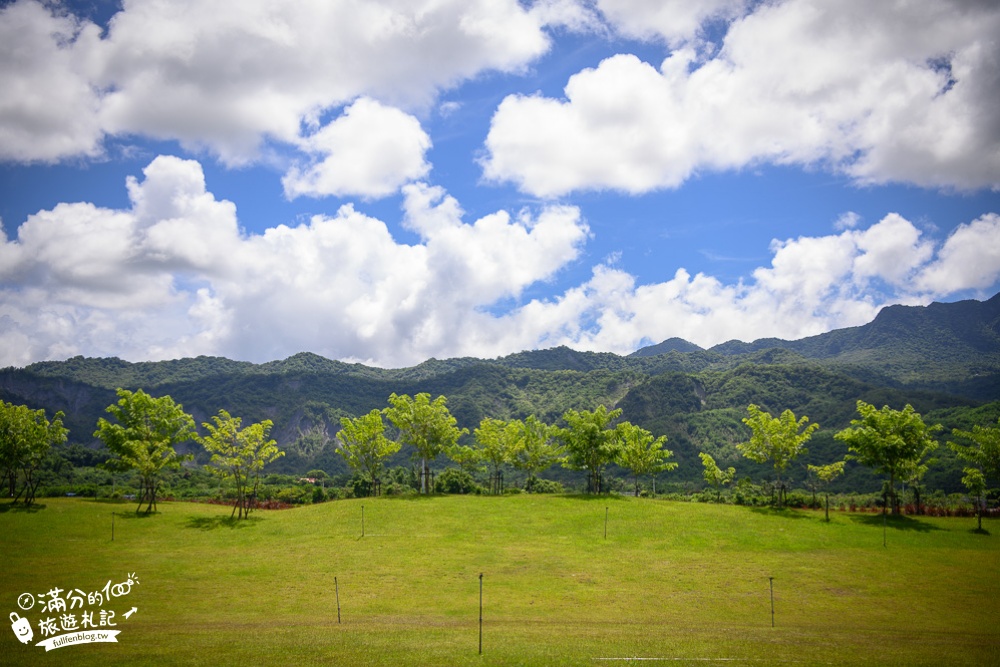 台東景點|鹿野鄉公所(免門票)梅花鹿公仔.立體彩繪.穹頂上有花~台東縱谷大地藝術節!