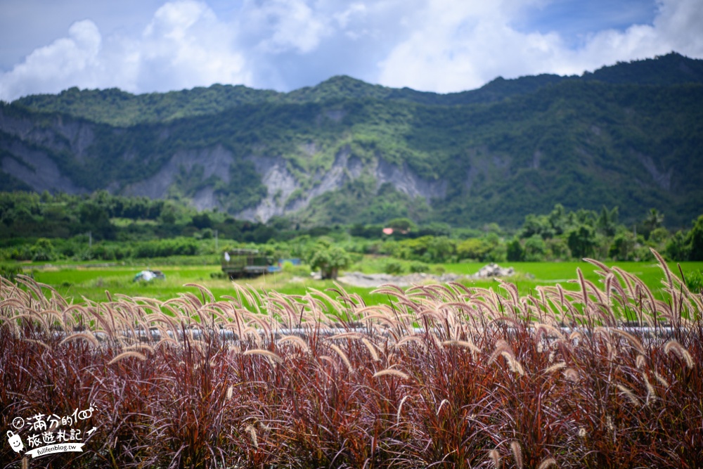 台東景點|鹿野鄉公所(免門票)梅花鹿公仔.立體彩繪.穹頂上有花~台東縱谷大地藝術節!