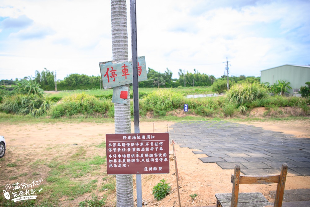 桃園觀音景點|蓮荷園休閒農場|賞蓮花.坐大王蓮.盪鞦韆.搭船遊湖.吃蓮子冰|季節限定~挑戰輕功水上飄!