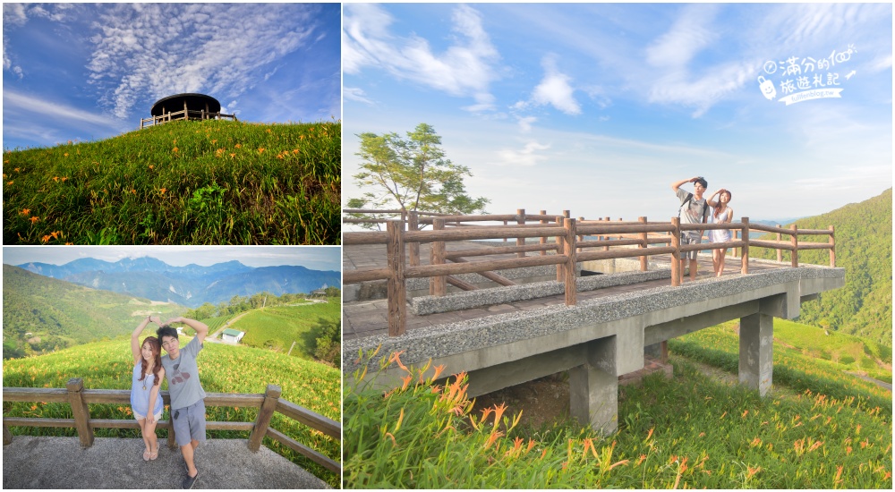 台東農場景點懶人包|精選15間台東農場牧場.森林公園~親子出遊必訪,探索生態親近小動物!