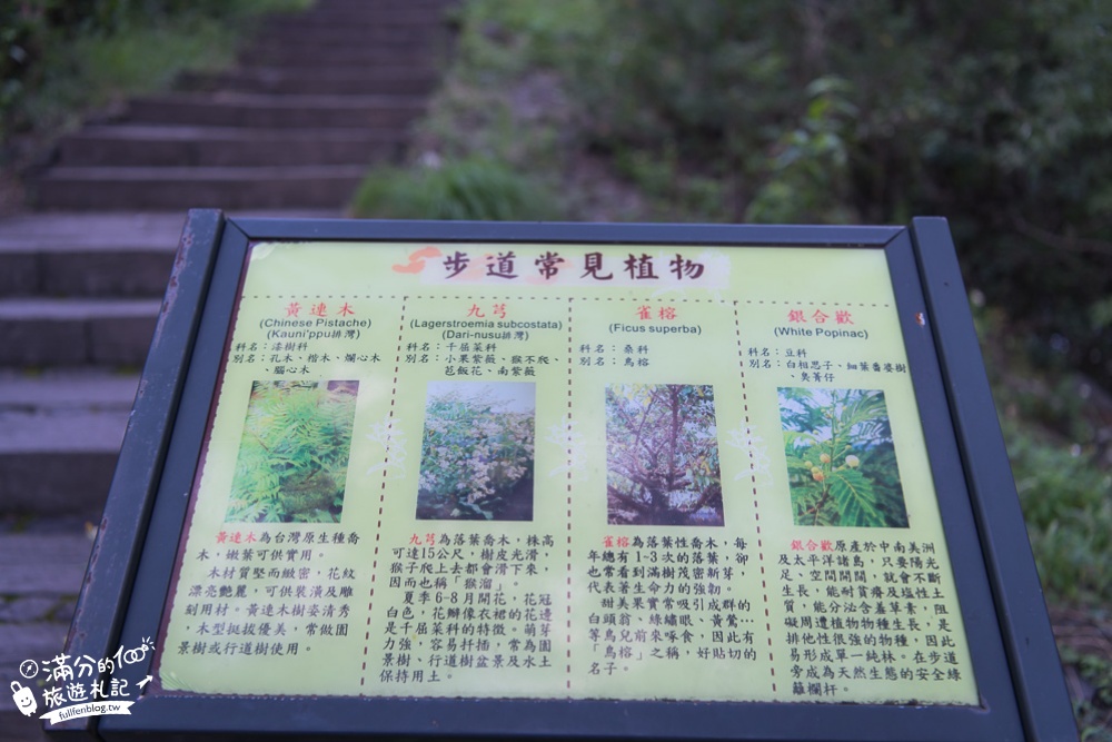 屏東景點|卡悠峯瀑布(免門票)步行15分直達懸崖秘境~秀麗群山.磅礴山澗瀑布盡收眼底!