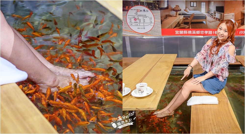 宜蘭礁溪景點|大樹下溫泉魚&玫瑰園原泉湯屋住宿|50元不限時~魚親腳兼喝下午茶!