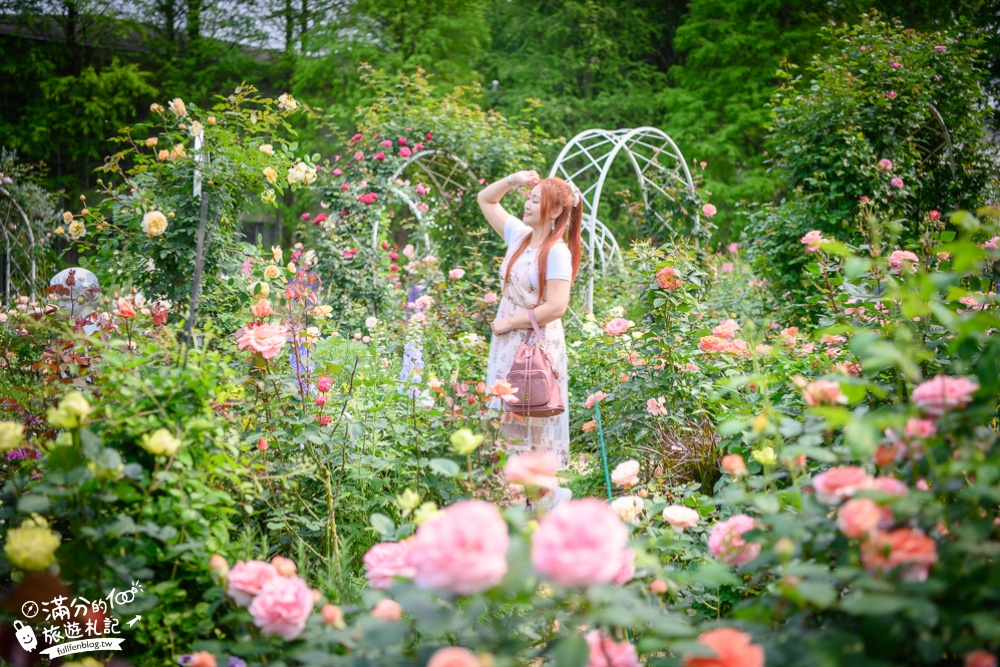 【楊梅景點一日遊】10個楊梅好玩景點推薦,最新萌萌村.玫瑰花園.宮廷服體驗,桃園親子景點順遊玩!