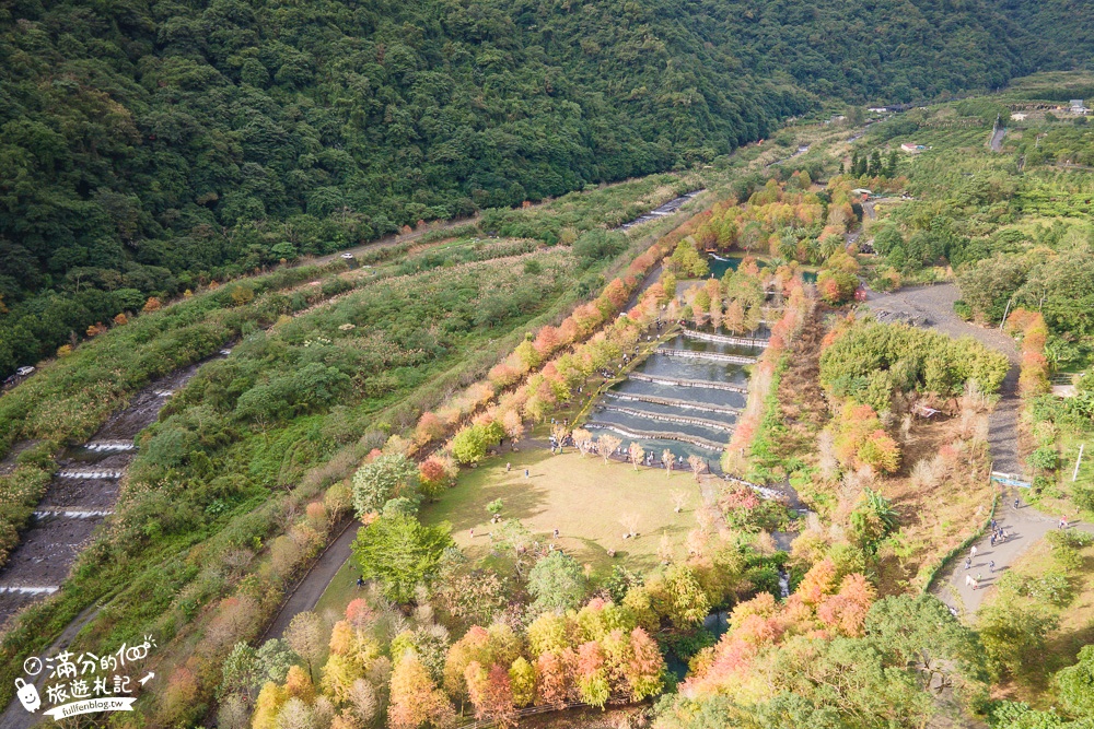 宜蘭新景點|三層坪水土保持農塘教育園區|水漾落羽松.梯田瀑布超震撼~媲美雲山水!