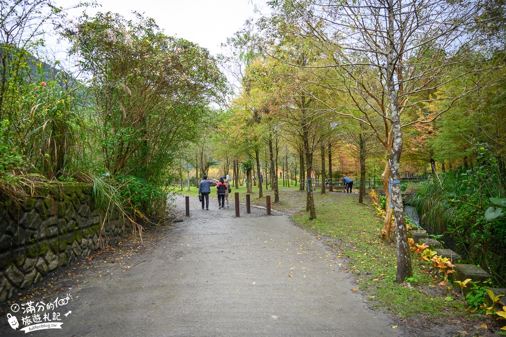 宜蘭新景點|三層坪水土保持農塘教育園區|水漾落羽松.梯田瀑布超震撼~媲美雲山水!