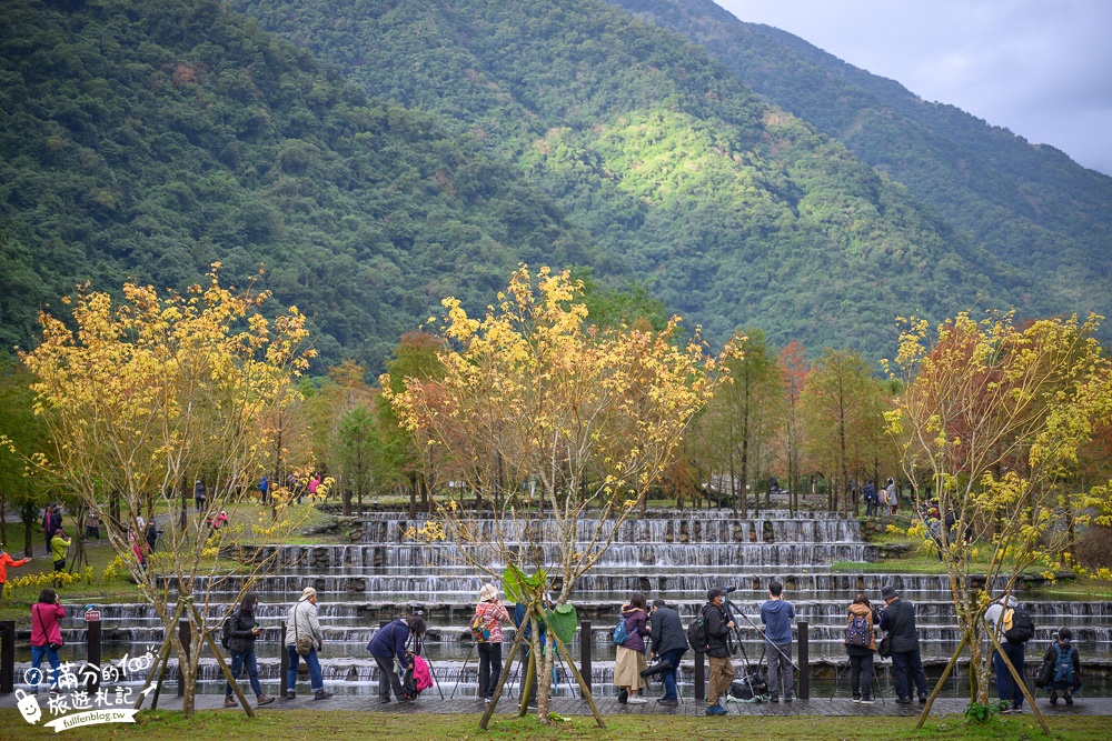 宜蘭新景點|三層坪水土保持農塘教育園區|水漾落羽松.梯田瀑布超震撼~媲美雲山水!