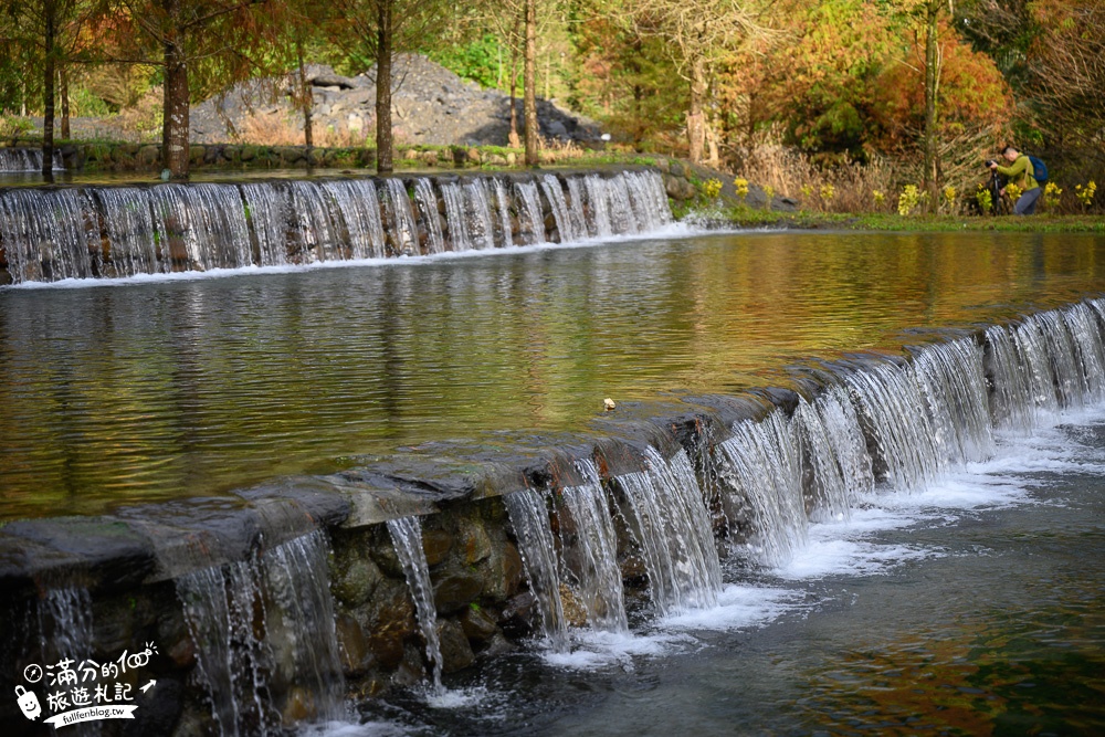 宜蘭新景點|三層坪水土保持農塘教育園區|水漾落羽松.梯田瀑布超震撼~媲美雲山水!