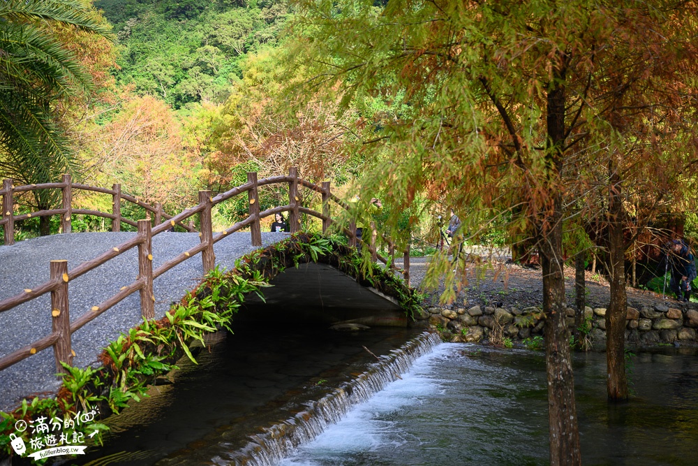 宜蘭新景點|三層坪水土保持農塘教育園區|水漾落羽松.梯田瀑布超震撼~媲美雲山水!