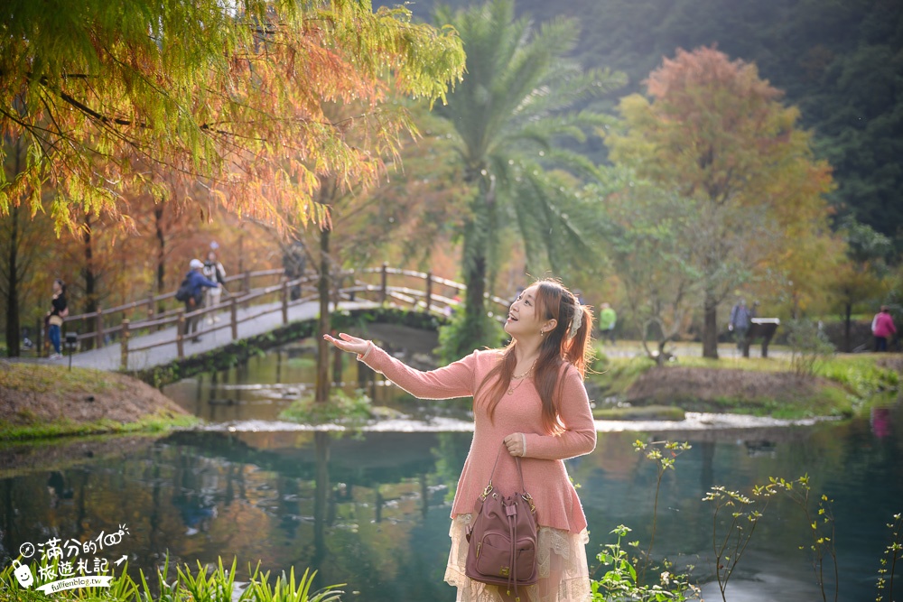 宜蘭新景點|三層坪水土保持農塘教育園區|水漾落羽松.梯田瀑布超震撼~媲美雲山水!