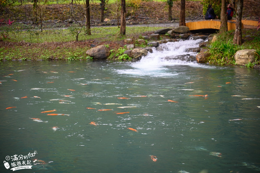 宜蘭新景點|三層坪水土保持農塘教育園區|水漾落羽松.梯田瀑布超震撼~媲美雲山水!