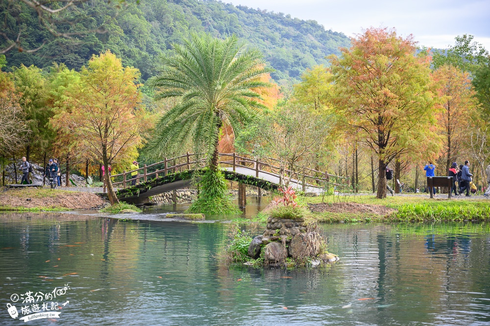 宜蘭新景點|三層坪水土保持農塘教育園區|水漾落羽松.梯田瀑布超震撼~媲美雲山水!