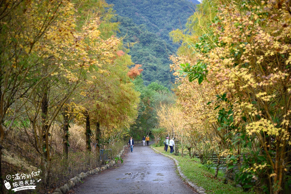 宜蘭新景點|三層坪水土保持農塘教育園區|水漾落羽松.梯田瀑布超震撼~媲美雲山水!