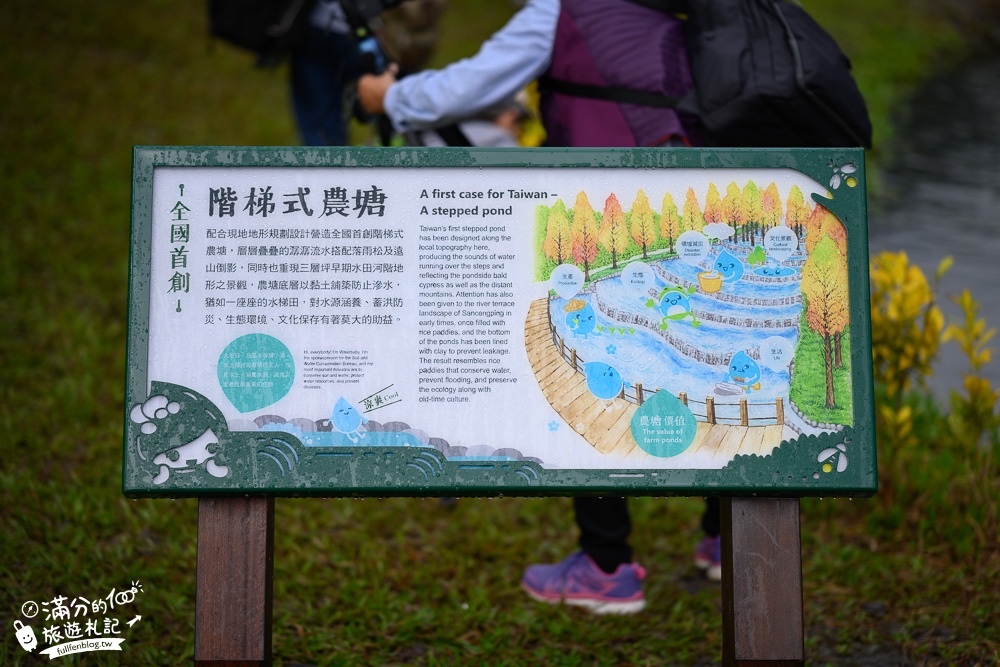 宜蘭新景點|三層坪水土保持農塘教育園區|水漾落羽松.梯田瀑布超震撼~媲美雲山水!