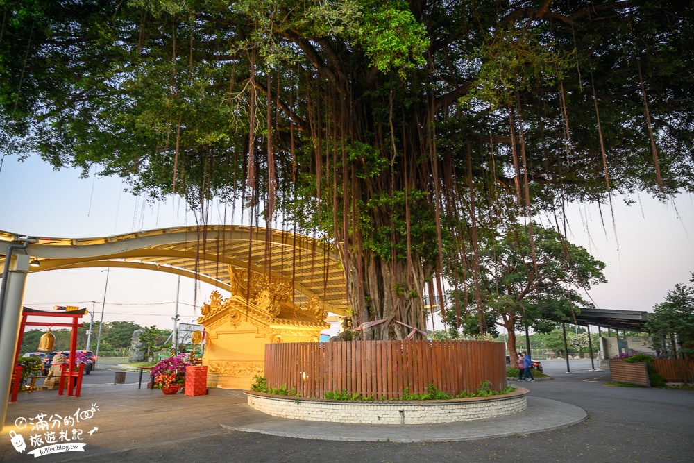 雲林虎尾景點|澄霖沉香味道森林館|愛心落羽松夢幻湖.水教堂.日系襌風庭院~號稱全台最美兼六園!