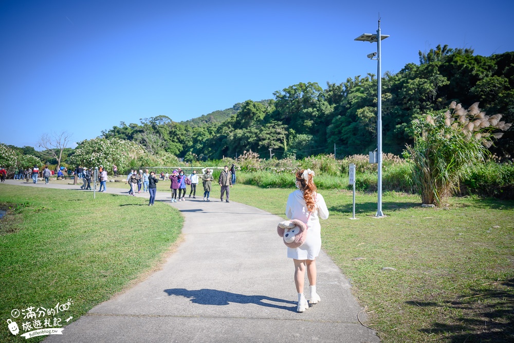 桃園大溪景點【月眉人工濕地生態公園】免門票落羽松夢幻湖.絕美倒影猶如人間小仙境!