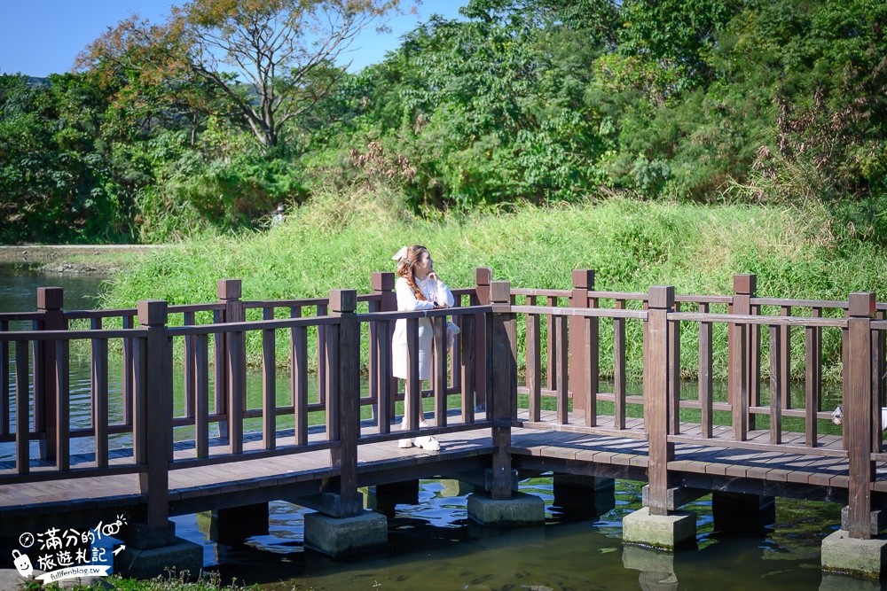 桃園大溪景點【月眉人工濕地生態公園】免門票落羽松夢幻湖.絕美倒影猶如人間小仙境!