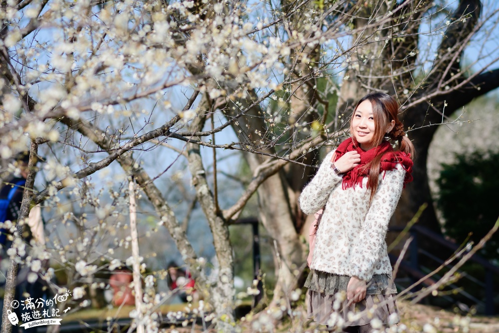 桃園復興景點|角板山行館梅園.夢幻白雪世界.戰備隧道.LOVE造景~軍事機地3D立體彩繪牆超好拍!