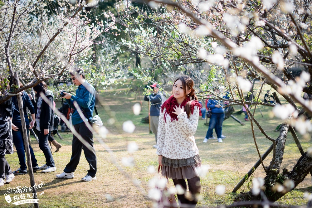 桃園復興景點|角板山行館梅園.夢幻白雪世界.戰備隧道.LOVE造景~軍事機地3D立體彩繪牆超好拍!