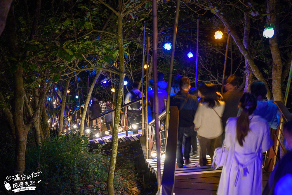 台南空山祭一日遊|虎形山公園|夢幻世界樹之泉.發芽種子.七彩光影秀.挑戰超光流體吊橋!