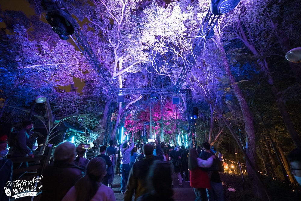 台南空山祭一日遊|虎形山公園|夢幻世界樹之泉.發芽種子.七彩光影秀.挑戰超光流體吊橋!