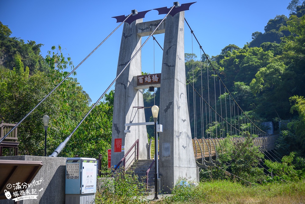 台中景點|太平蝙蝠洞(免門票)走百蝠橋.森林步道.拍蝙幅壁畫~探索蝙蝠棲息洞穴!