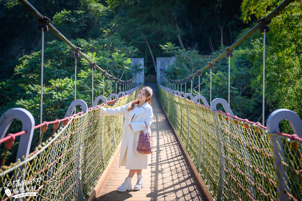 台中景點|太平蝙蝠洞(免門票)走百蝠橋.森林步道.拍蝙幅壁畫~探索蝙蝠棲息洞穴!