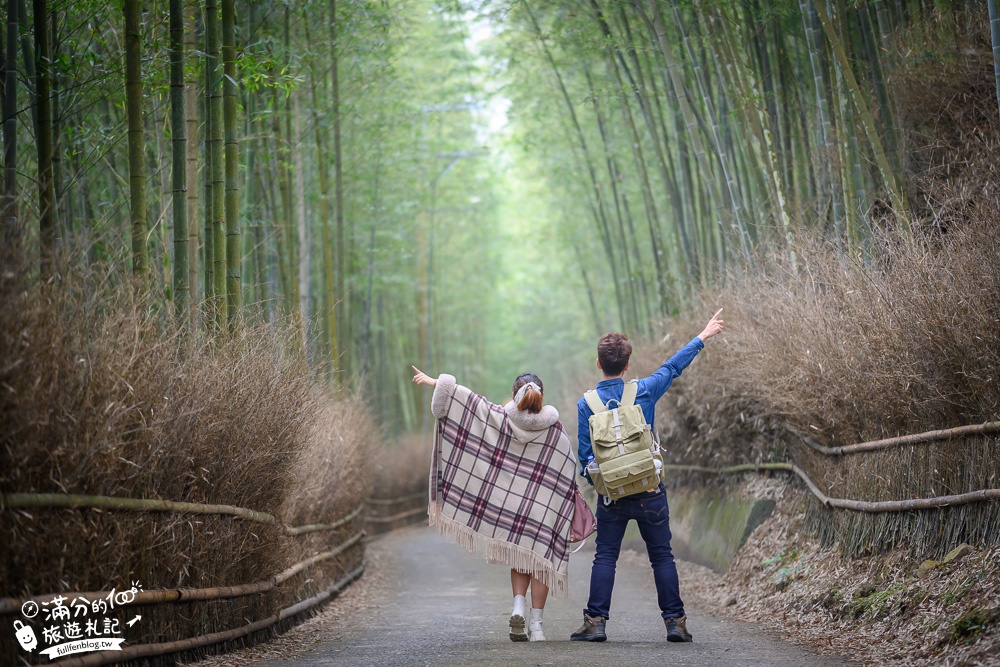 南投景點|大鞍竹海隧道(免門票)開車即達超輕鬆.200公尺的竹林秘境|私房景點~秒飛京都嵐山!