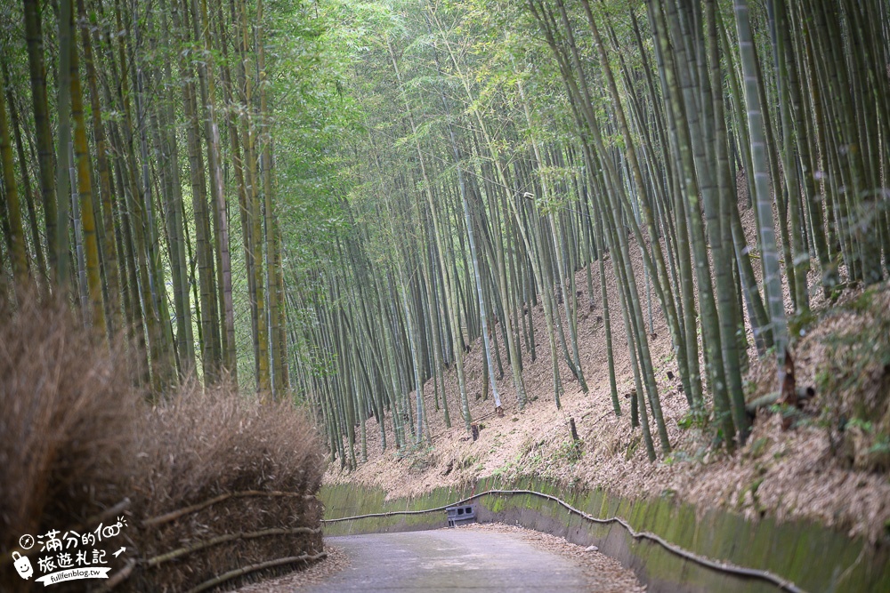 南投景點|大鞍竹海隧道(免門票)開車即達超輕鬆.200公尺的竹林秘境|私房景點~秒飛京都嵐山!