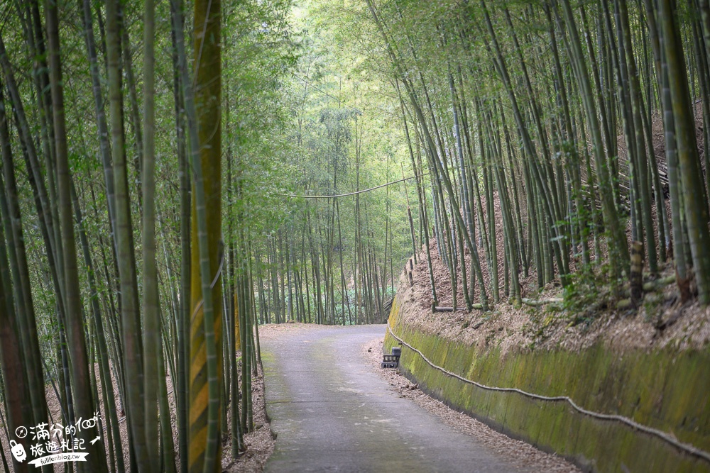 南投景點|大鞍竹海隧道(免門票)開車即達超輕鬆.200公尺的竹林秘境|私房景點~秒飛京都嵐山!