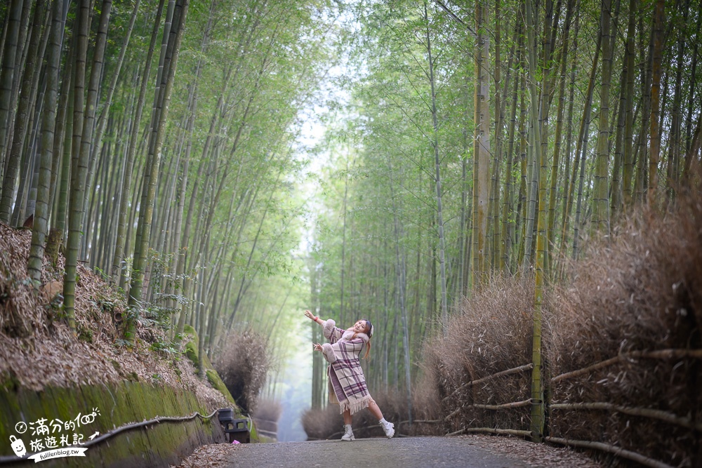 南投景點|大鞍竹海隧道(免門票)開車即達超輕鬆.200公尺的竹林秘境|私房景點~秒飛京都嵐山!