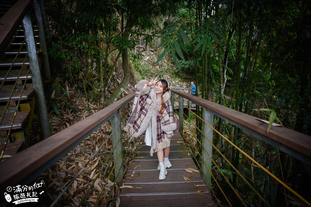 南投景點【竹山天梯.竹山地心谷】全台最震撼的梯子吊橋,走吊橋看瀑布,大自然山谷之美!