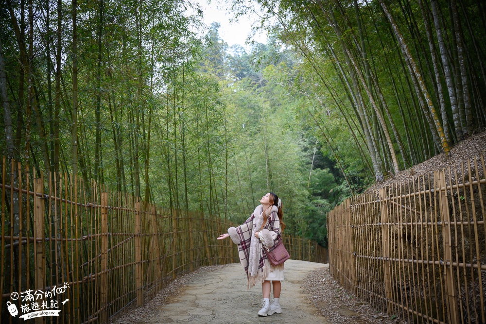 南投景點【竹山天梯.竹山地心谷】全台最震撼的梯子吊橋,走吊橋看瀑布,大自然山谷之美!